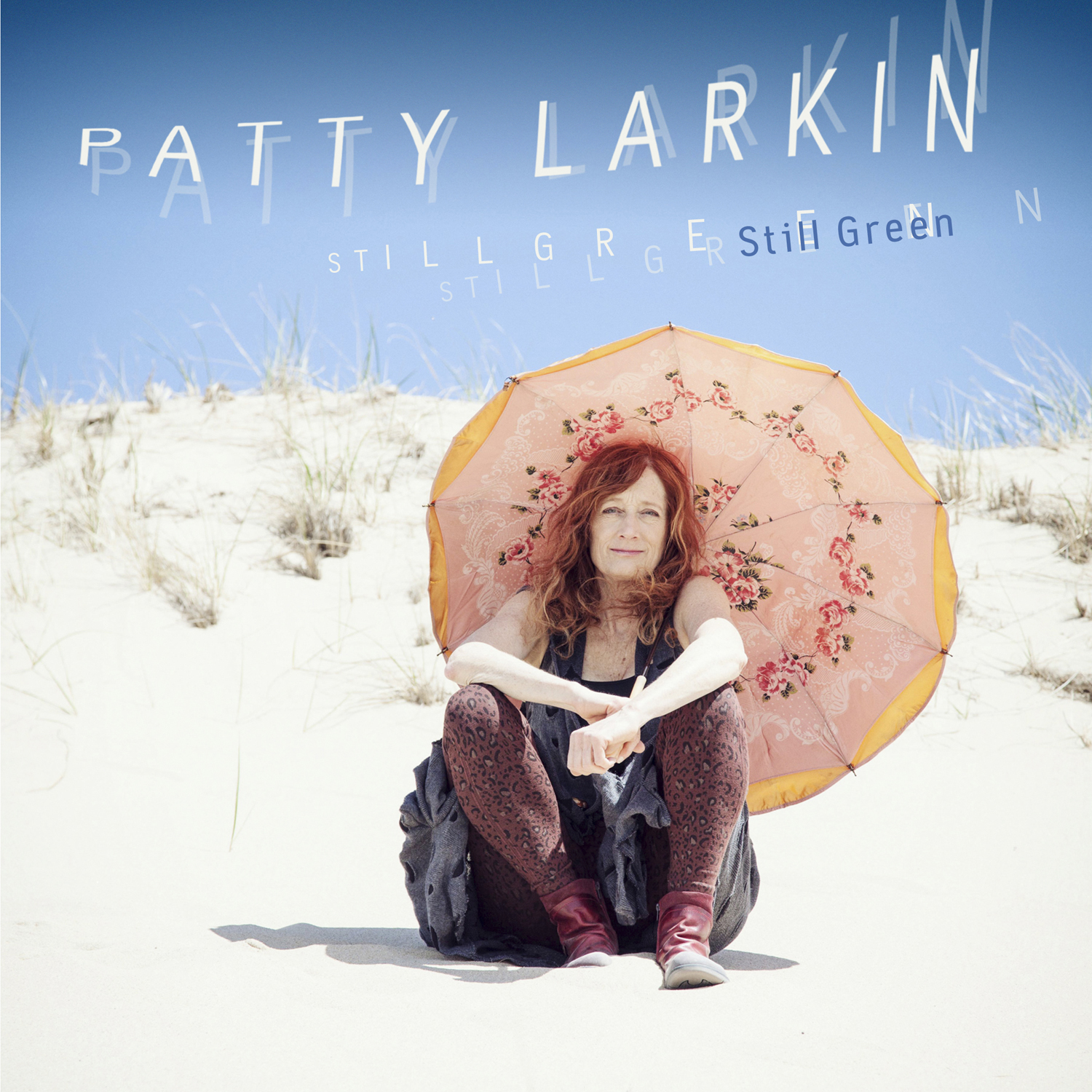 Patty Larkin - Publicity Images - 2013